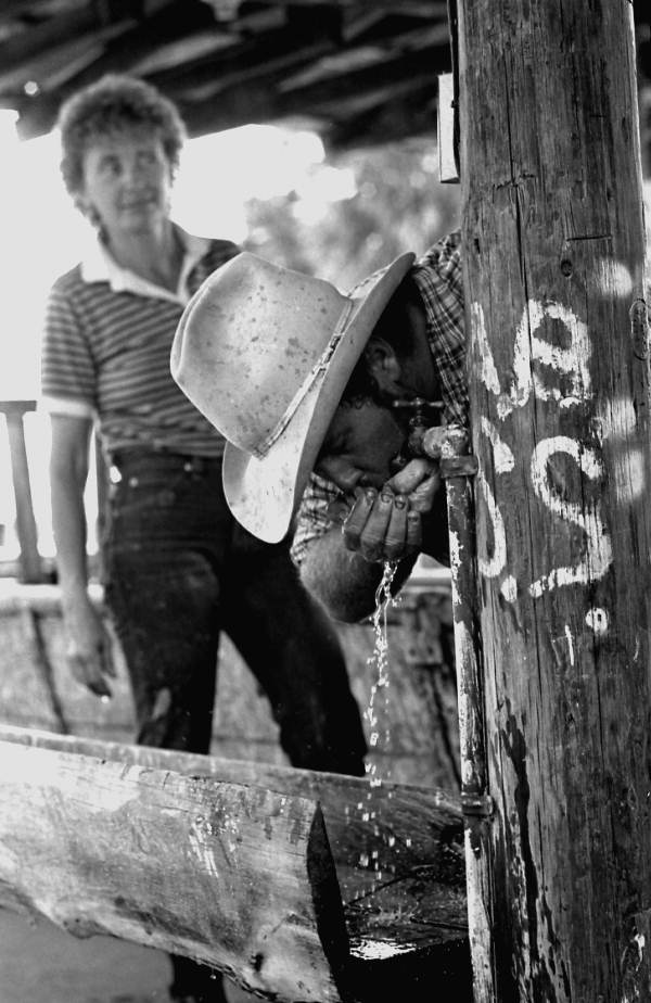Ronnie Sylvester getting a drink of water at Buck Island Ranch- Lake Placid, Florida