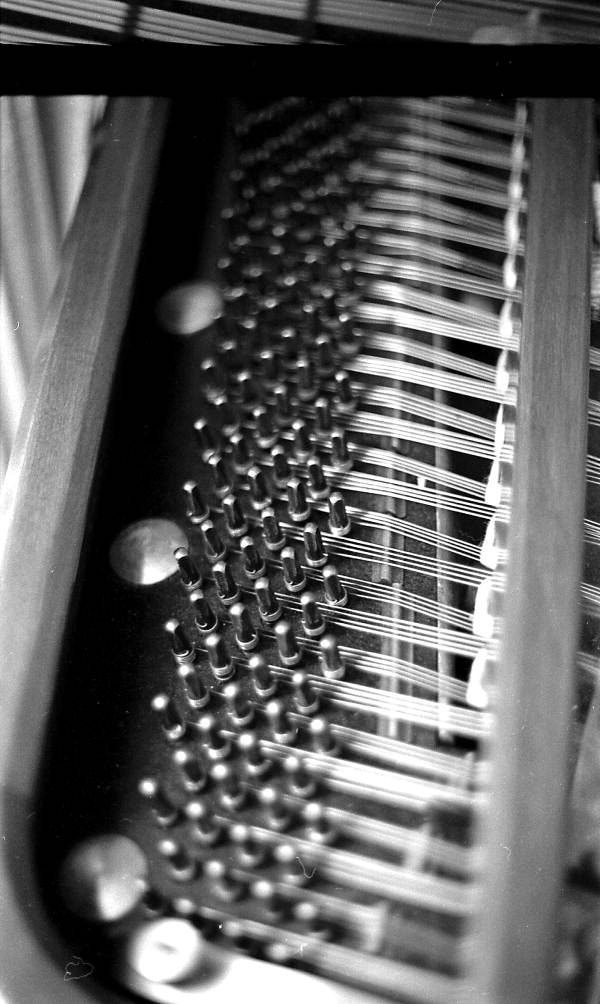 Cimbalom owned by Joseph Szaryus - Casselberry, Florida