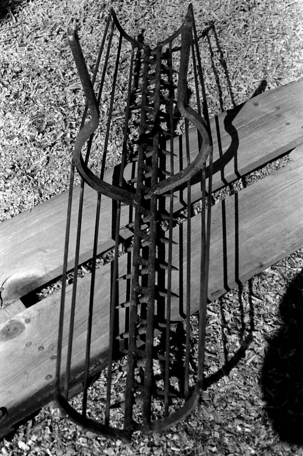 Oyster tongs used and made by Corky and Rodney Richards- Apalachicola, Florida.