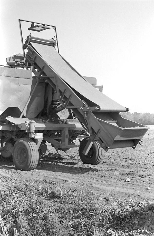 Potato planter machine seen from the rear - Hastings, Florida.
