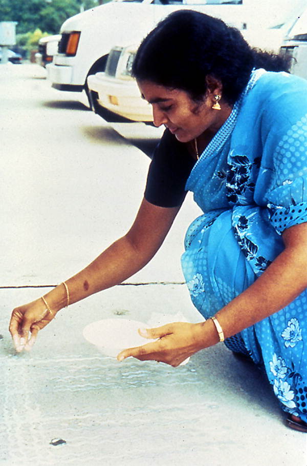 Prema Kuman drawing Kolam art