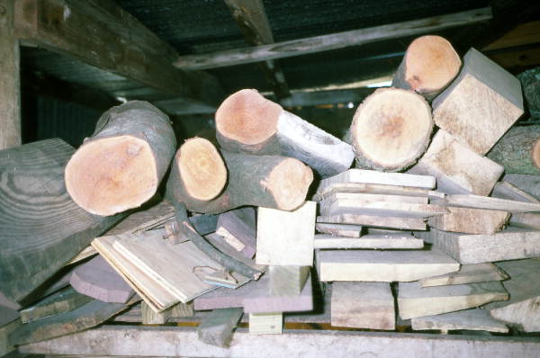 Wood gathered by woodcarver Creek Indian Bobby Thomas Johns being stored for seasoning - Pensacola, Florida.