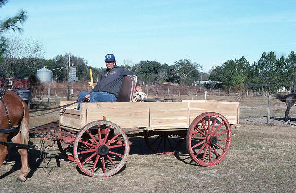 Raymond Richardson, apprentice of wheelwright and coach maker John Luther, and his team of mules- McAlpin, Florida
