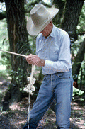 Cow whip maker George "Junior" Mills braiding a whip - Okeechobee, Florida.