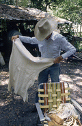 Cow whip maker George "Junior" Mills holding buckskin used for whip braiding - Okeechobee, Florida.