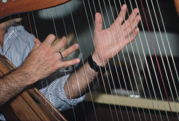 Hands of Jose Palmi playing harp