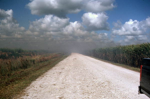 Cane field being burned - Pahokee, Florida.