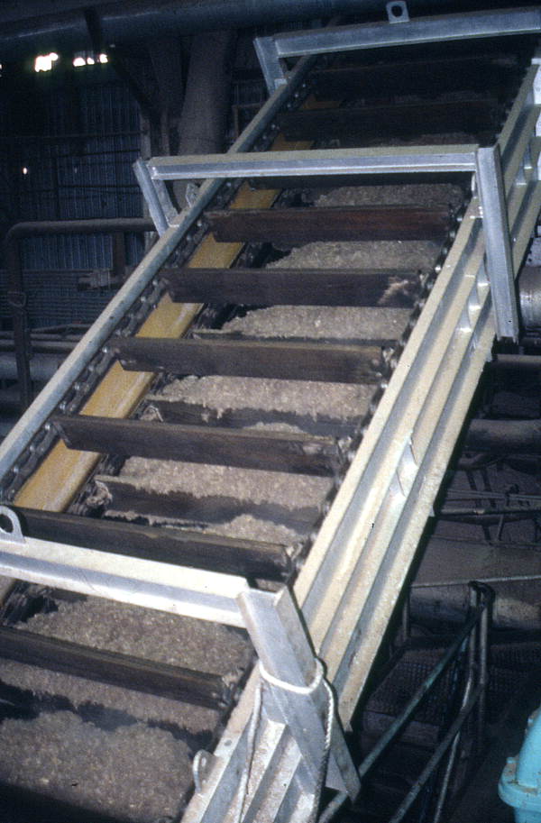 Sugar cane being processed - Pahokee, Florida