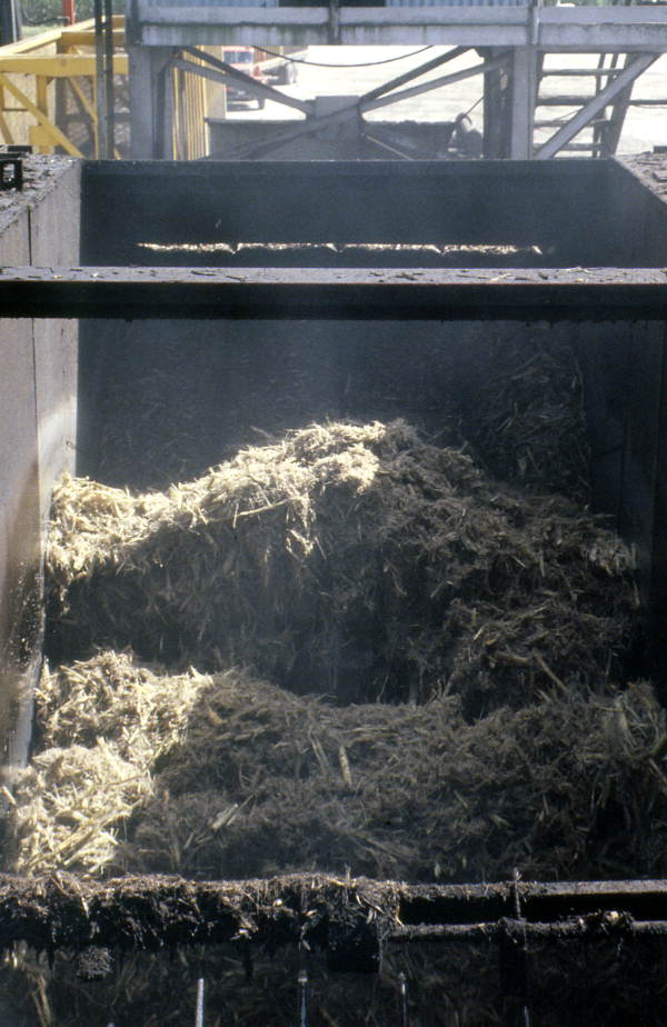 Sugar cane being processed - Pahokee, Florida