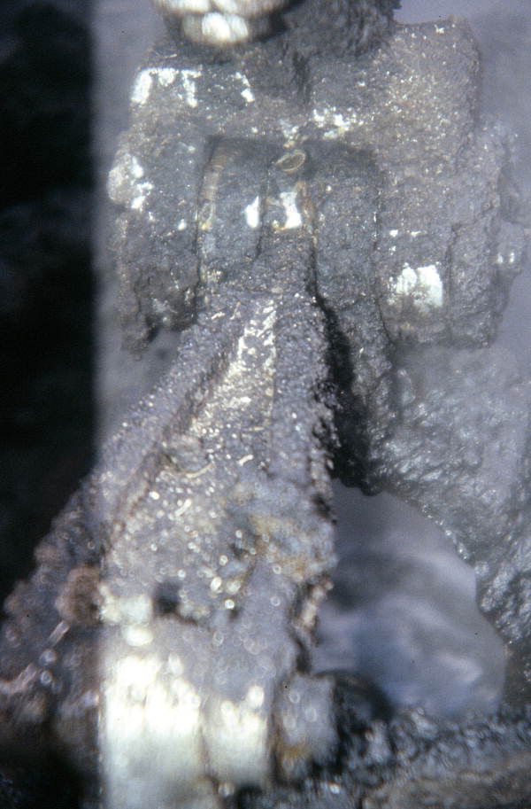 Milling machinery at a sugar mill - Pahokee, Florida