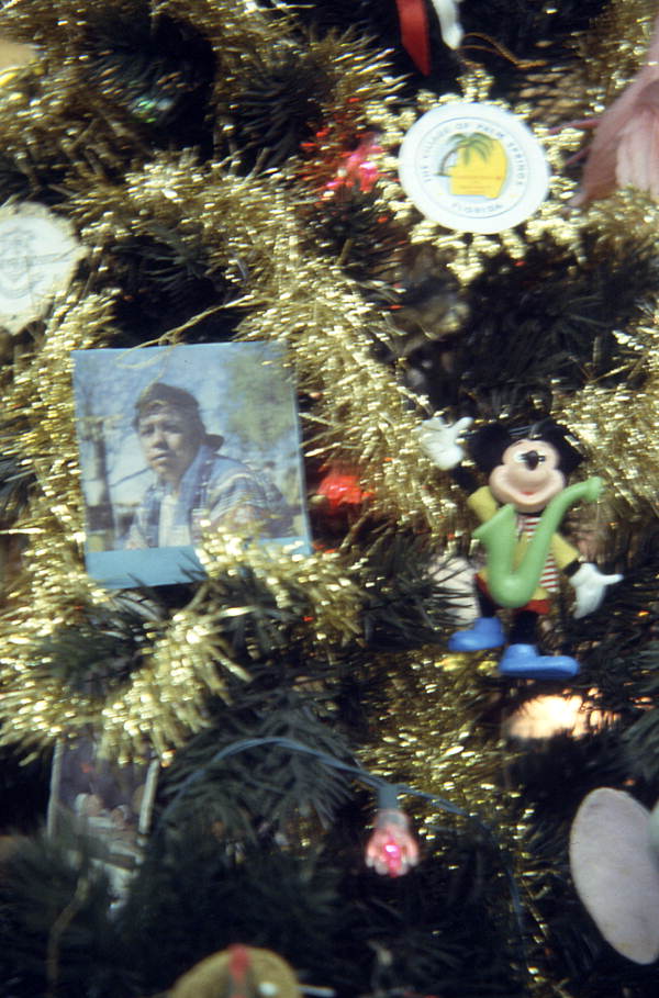 Florida Christmas tree designed by Oytuia (?) Strauss - West Palm Beach, Florida.