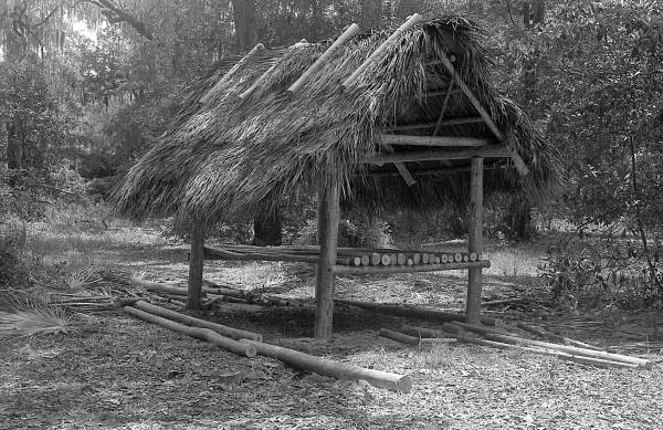 Seminole chickee under construction at the 1985 Florida Folk Festival - White Springs, Florida