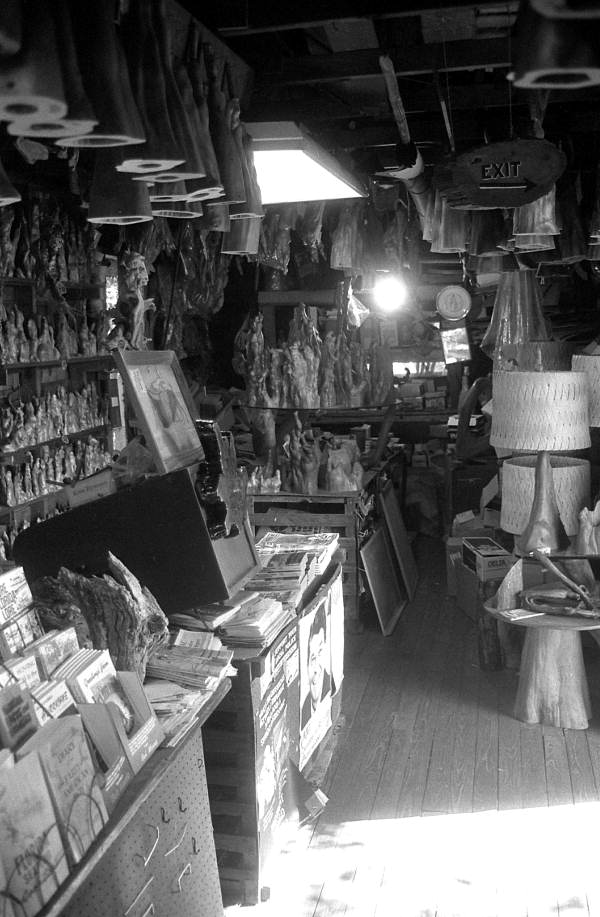 Gift shop selling cypress knees and other items - Palmdale, Florida.