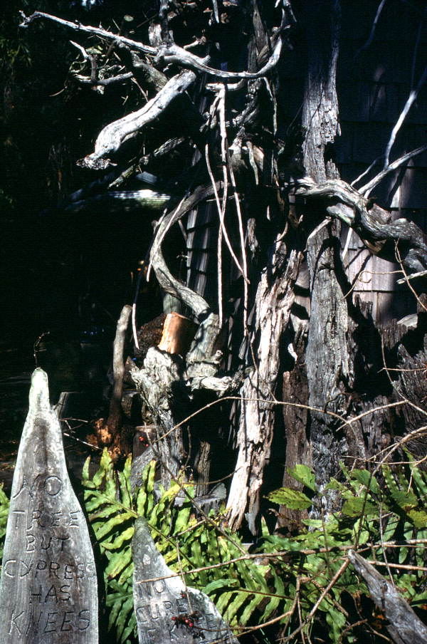 Cypress wood and carved cypress knees at the Cypress Knee Museum - Palmdale, Florida.