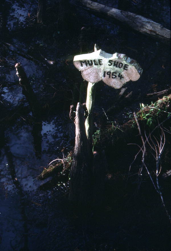 Sign and cypress knees in a water environment - Palmdale, Florida.