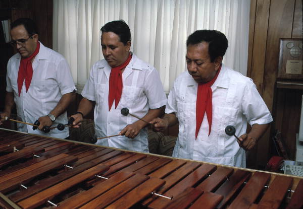 Marimba Mayalandia performing - Orlando, Florida.