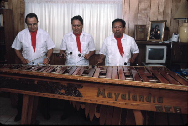 Marimba Mayalandia plays a large marimba - Orlando, Florida.
