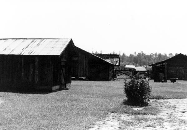 Buildings on Sam Perry's farm- Lamont, Florida