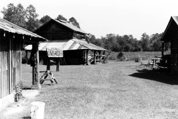Buildings on Sam Perry's farm- Lamont, Florida