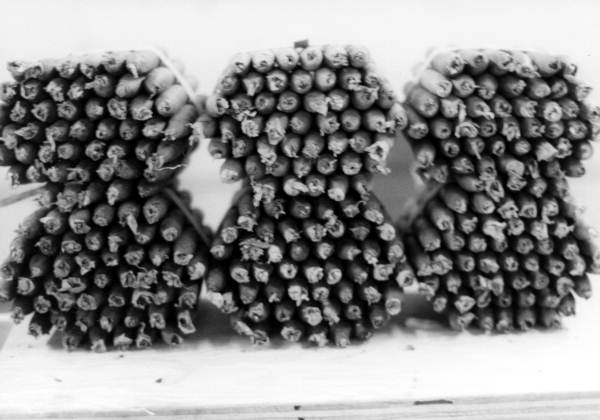Hand rolled cigars- Tampa, Florida