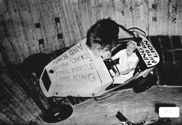 Ethel Purtle and King riding in a lion drome for a Clyde Beatty circus show.