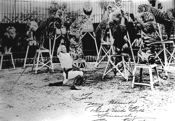 Clyde Beatty performing with his big cats