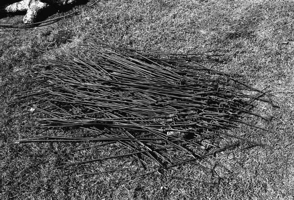 Mullet fish smoking forks - Monticello, Florida