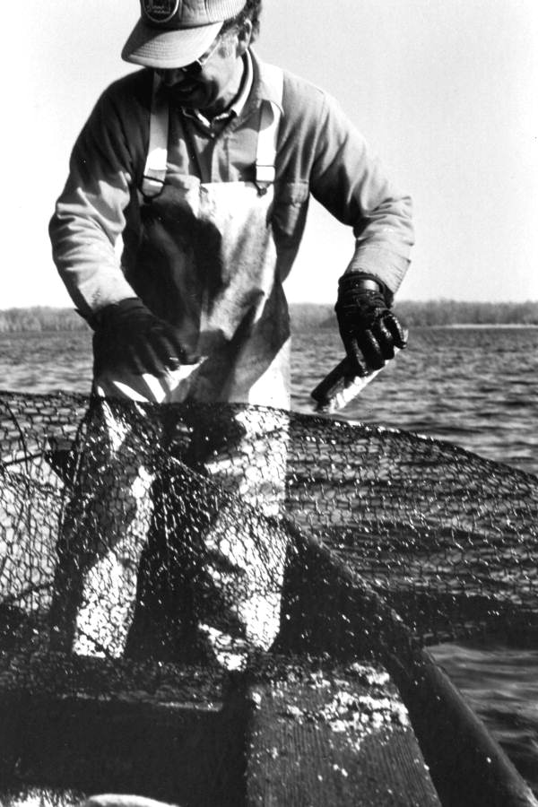 Tommy Noles working catfish traps, Crescent City, FL..