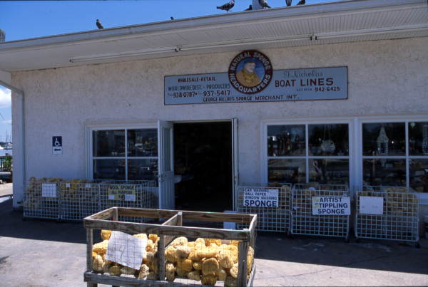 Sponges at Saint Nicholas Boat Line's office - Tarpon Springs, Florida.