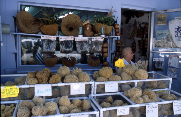 Sponges at Nina's Gift Shop - Tarpon Springs, Florida.