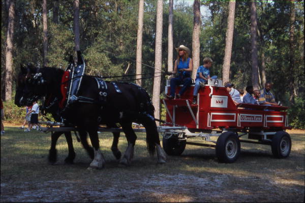 Children ride in a wagon at Rural Folklife Days - White Springs, Florida.