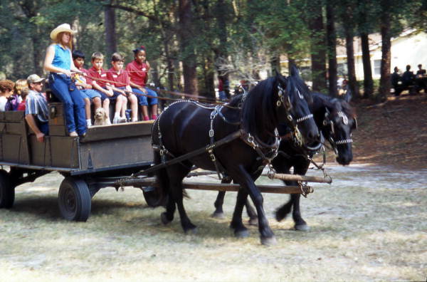 Wagon with children at Rural Folklife Days - White Springs, Florida.