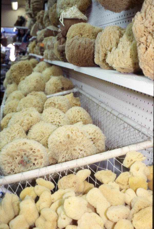 Close up of sponges at Nina's Gift Shop - Tarpon Springs, Florida.