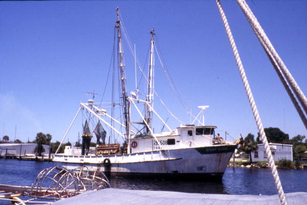 Shrimp boat - Tarpon Springs, Florida.