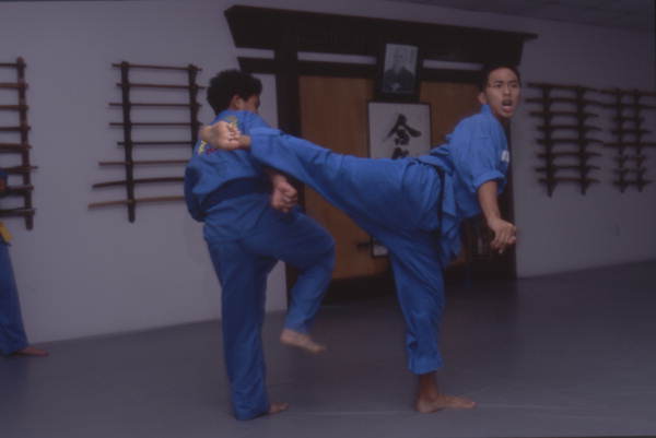 Van Vo Dao students practice martial arts - Orlando, Florida.