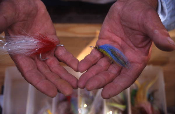 Fishing lures - Everglades City, Florida.