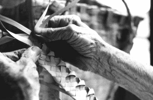 Palmetto weaving being performed by Pearlie Gates