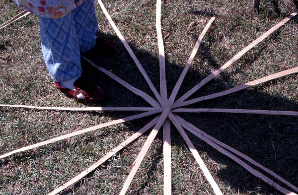 Strips of a white oak laid down by Lucreaty Clark during basket making process