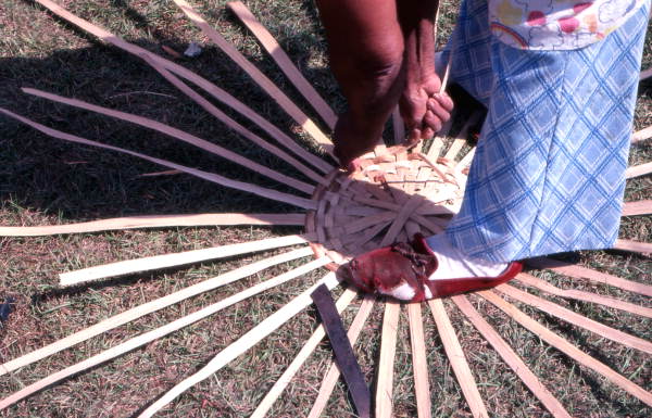 Lucreaty Clark starting to weave a white oak basket