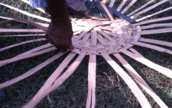 Lucreaty Clark starting to weave a white oak basket