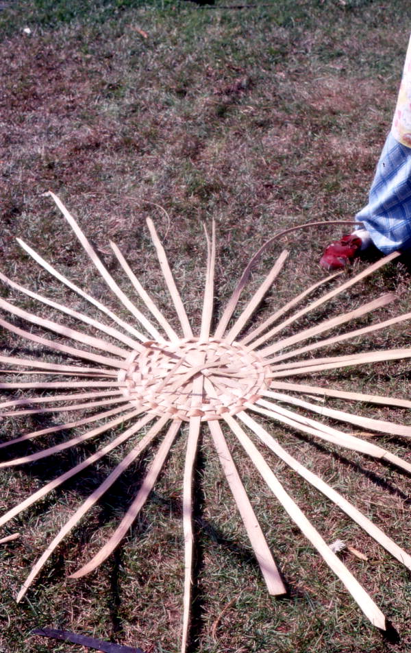 Lucreaty Clark starting to weave a white oak basket