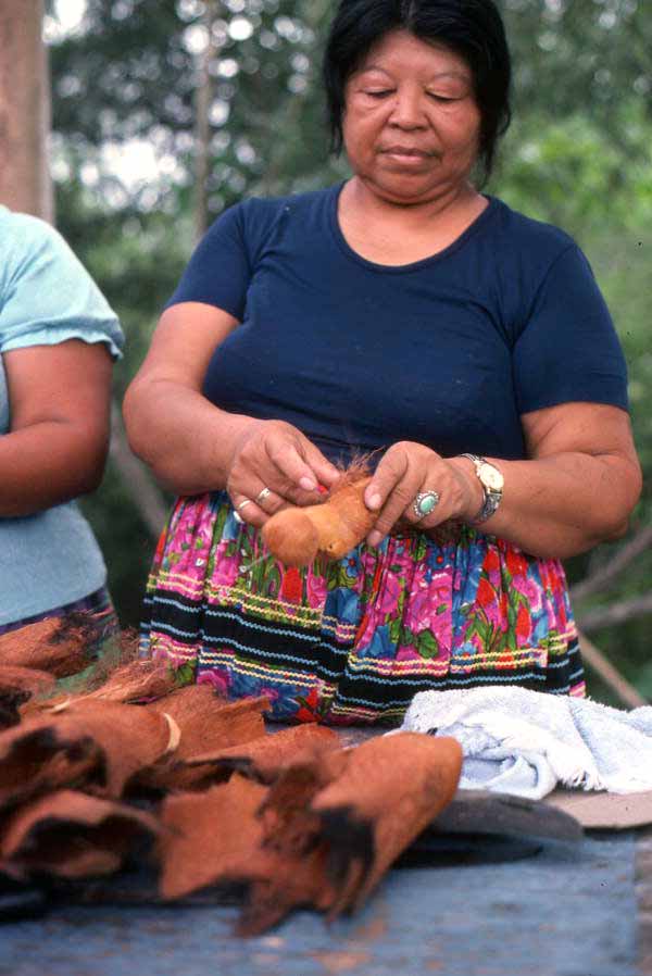 Mary Billie starting to make dolls - Big Cypress Seminole Indian Reservation