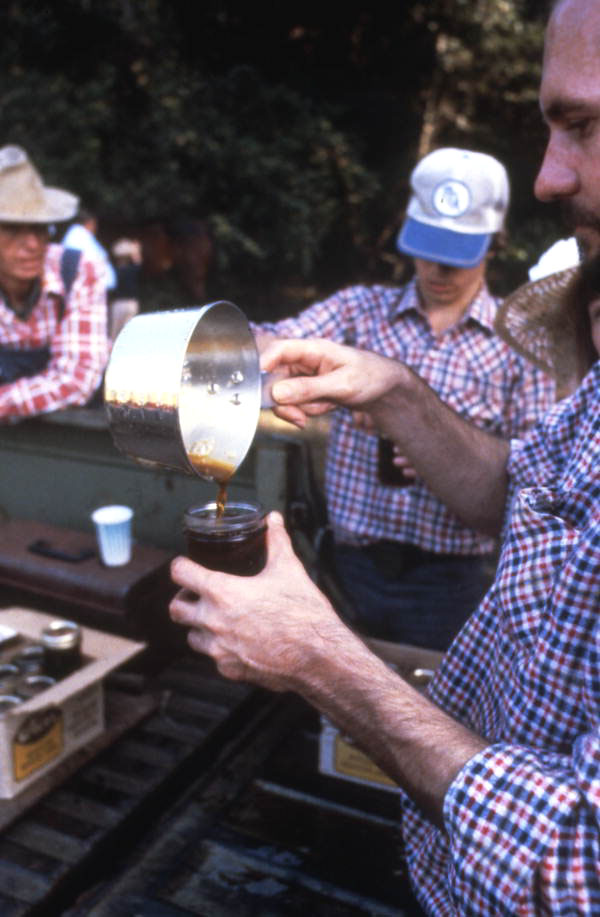 Pouring sugar cane syrup into a jar - Orlando, Florida.