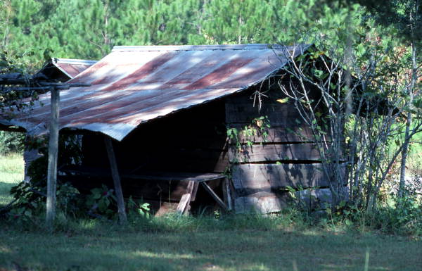 Farm crib on corner of Highway 131 and Rivers Road - Columbia County, Florida.