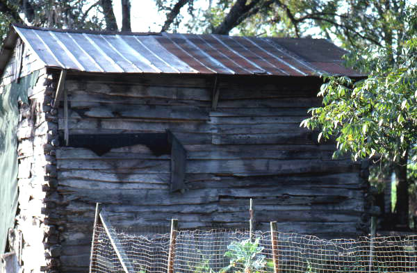 Side view of tobacco barn on Winfield Road - Columbia County, Florida.
