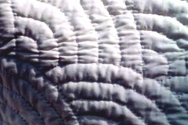 Detailed view of quilting pattern and stitching from quilt made by Grace Scaff - White Springs, Florida.