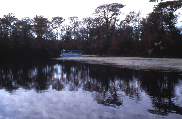 Tour boat at Wakulla Springs - Wakulla Springs, Florida