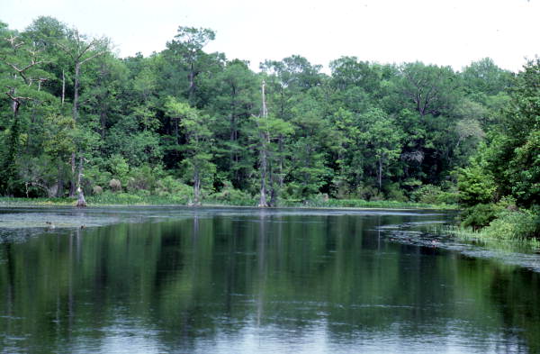 Wakulla Springs - Wakulla Springs, Florida
