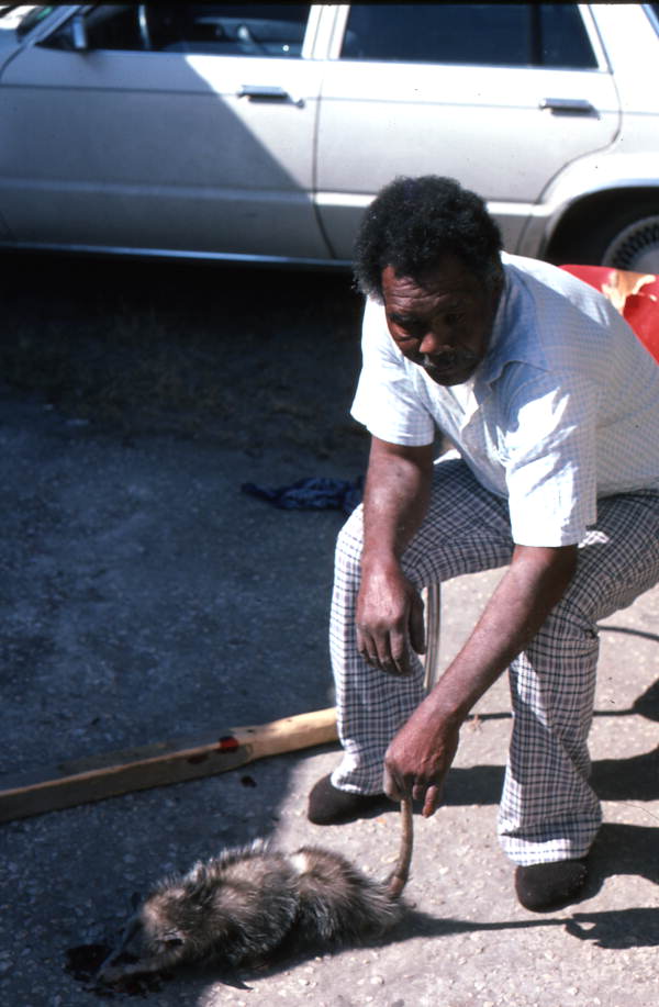 Willie Gillard with a possum he is about to clean for cooking - Tampa, Florida.