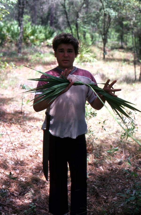 Boy harvesting palmettos - Tampa, Florida.